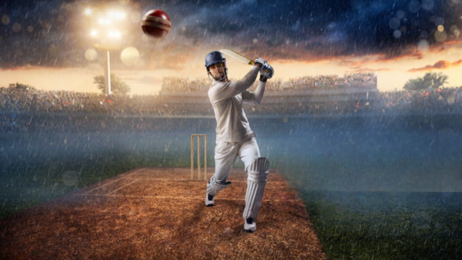 Wheon Cricket 07